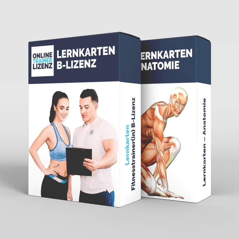 Lernkarten-Paket zur Fitnesstrainer B Lizenz Lernkarten-Paket zur Fitnesstrainer B Lizenz