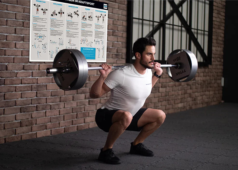 Übungs-Poster zu den Grundübungen im Kraftsport Übungs-Poster zu den Grundübungen im Kraftsport